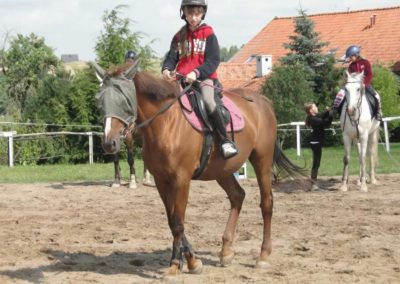oboz-konie-2017-5-5-0005