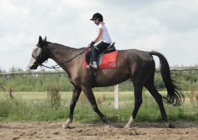 oboz-konie-2017-5-5-0042