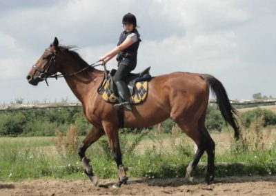 oboz-konie-2017-5-5-0043