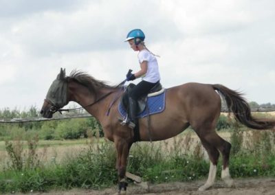 oboz-konie-2017-5-5-0048