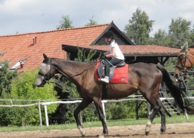 oboz-konie-2017-5-5-0061