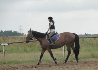 oboz-konie-2017-5-5-0181