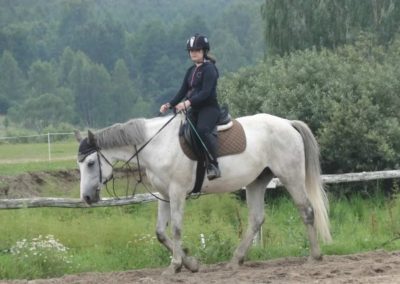 oboz-konie-2017-5-6-0006