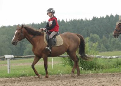 oboz-konie-2017-5-6-0044