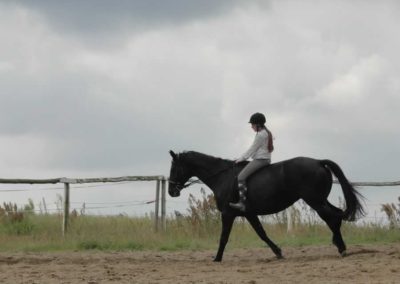 oboz-konie-2017-5-6-0065