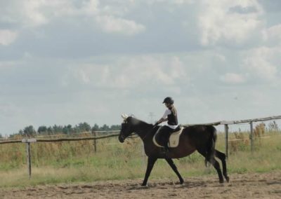 oboz-konie-2017-5-7-0161
