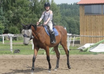 oboz-konie-2017-6-2-0051