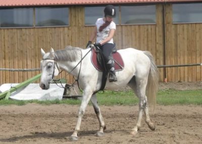 oboz-konie-2017-6-2-0052