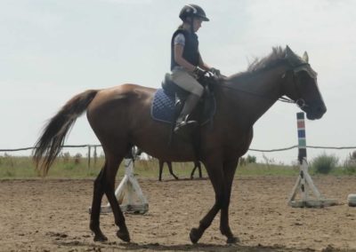 oboz-konie-2017-6-2-0058