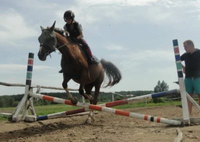oboz-konie-2017-6-2-0085