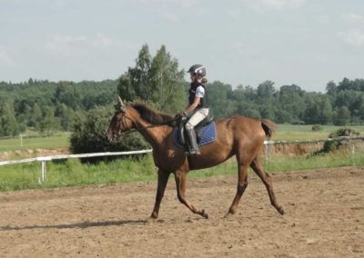 oboz-konie-2017-6-2-0194