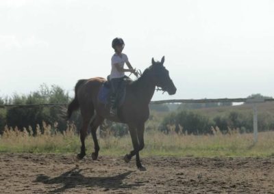 oboz-konie-2017-6-2-0201