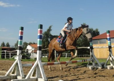 oboz-konie-2017-6-2-0222