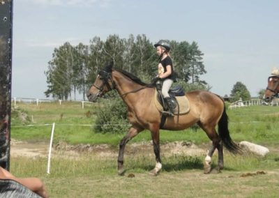 oboz-konie-2017-6-3-0032