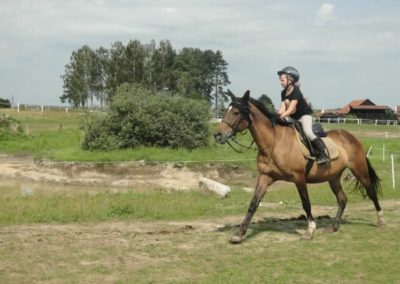 oboz-konie-2017-6-3-0040