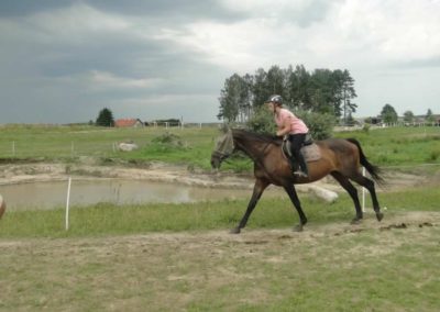 oboz-konie-2017-6-3-0046