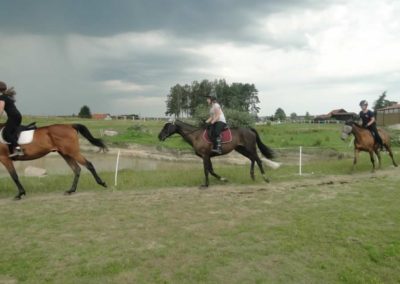 oboz-konie-2017-6-3-0049