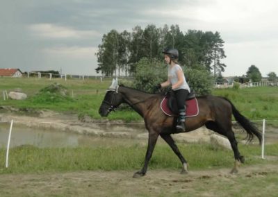 oboz-konie-2017-6-3-0051