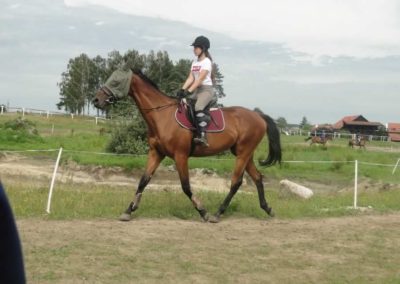 oboz-konie-2017-6-5-0016
