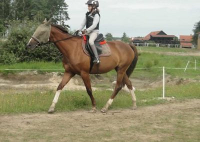 oboz-konie-2017-6-5-0022