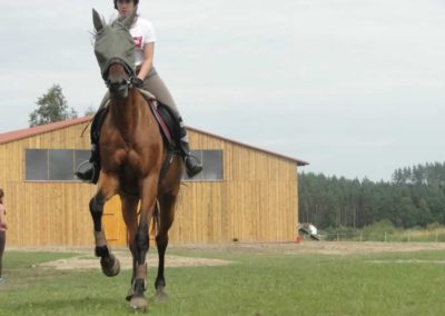 oboz-konie-2017-6-5-0082