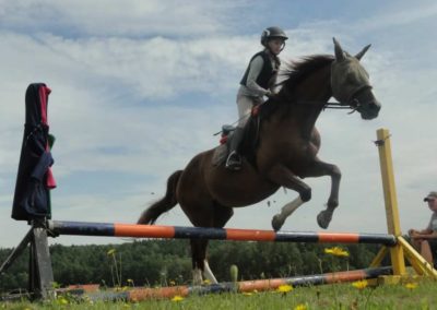 oboz-konie-2017-6-5-0092