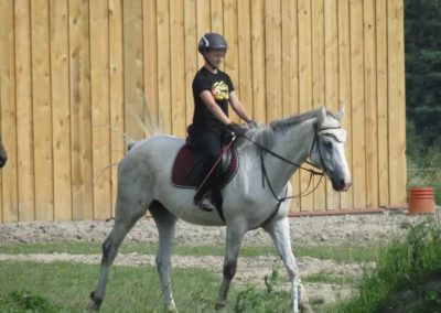 oboz-konie-2017-6-6-0012