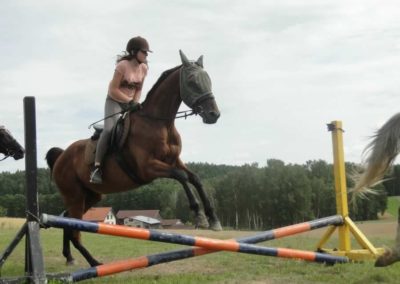 oboz-konie-2017-6-6-0052