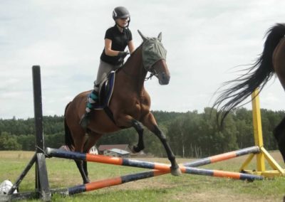 oboz-konie-2017-6-6-0053