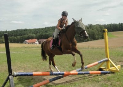 oboz-konie-2017-6-6-0056
