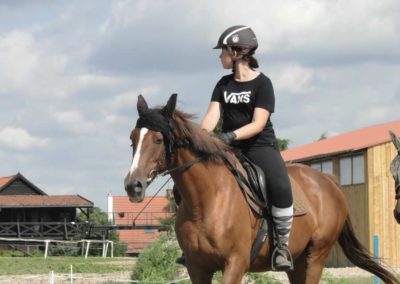 oboz-konie-2017-6-7-0017