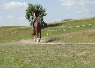 oboz-konie-2017-6-7-0033