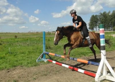 oboz-konie-2017-6-7-0051