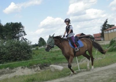oboz-konie-2017-6-7-0065