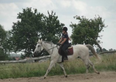 oboz-konie-2017-6-7-0097
