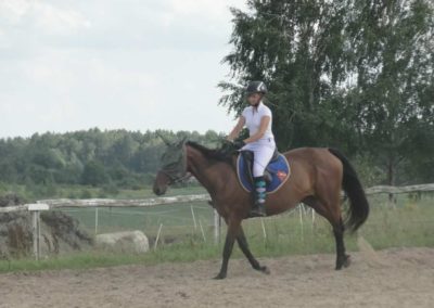 oboz-konie-2017-6-7-0121