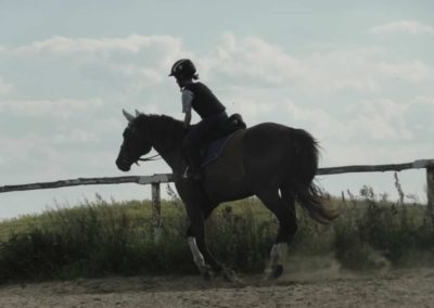 oboz-konie-2017-6-7-0150