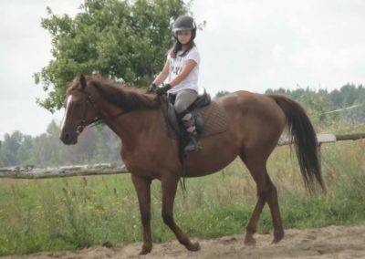 oboz-konie-2017-7-1-0009