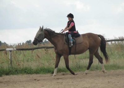 oboz-konie-2017-7-1-0025