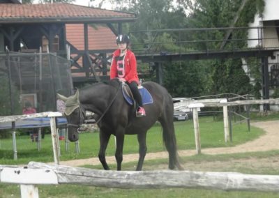 oboz-konie-2017-7-1-0044