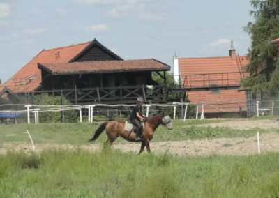 oboz-konie-2017-7-3-0033