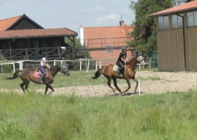 oboz-konie-2017-7-3-0036