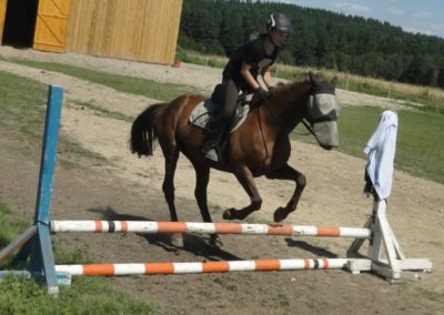 oboz-konie-2017-7-3-0052
