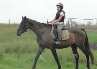 oboz-konie-2017-7-5-0034