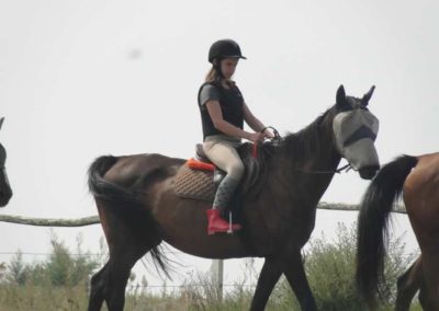 oboz-konie-2017-7-6-0050
