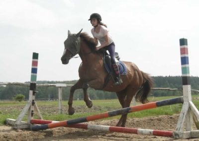 oboz-konie-2017-7-6-0098