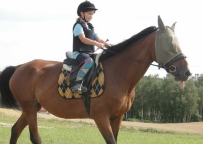 oboz-konie-2017-7-7-0003