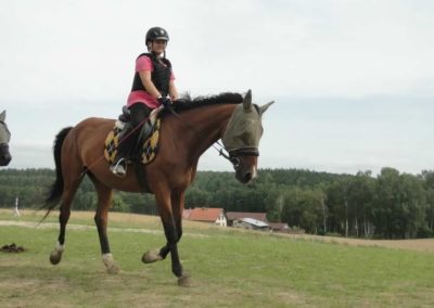 oboz-konie-2017-7-7-0075