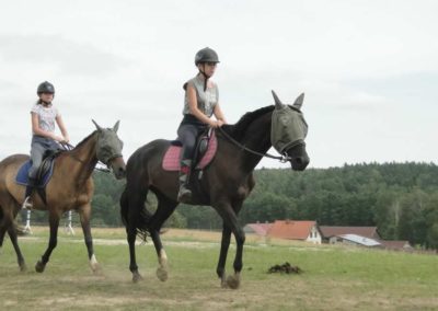 oboz-konie-2017-7-7-0088