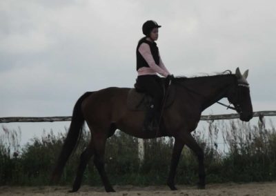 oboz-konie-2017-8-1-0007